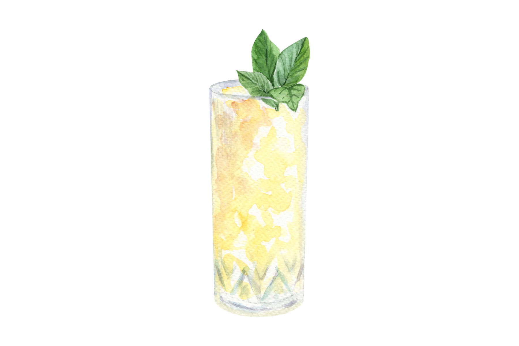 Jasmine Ginger Collins