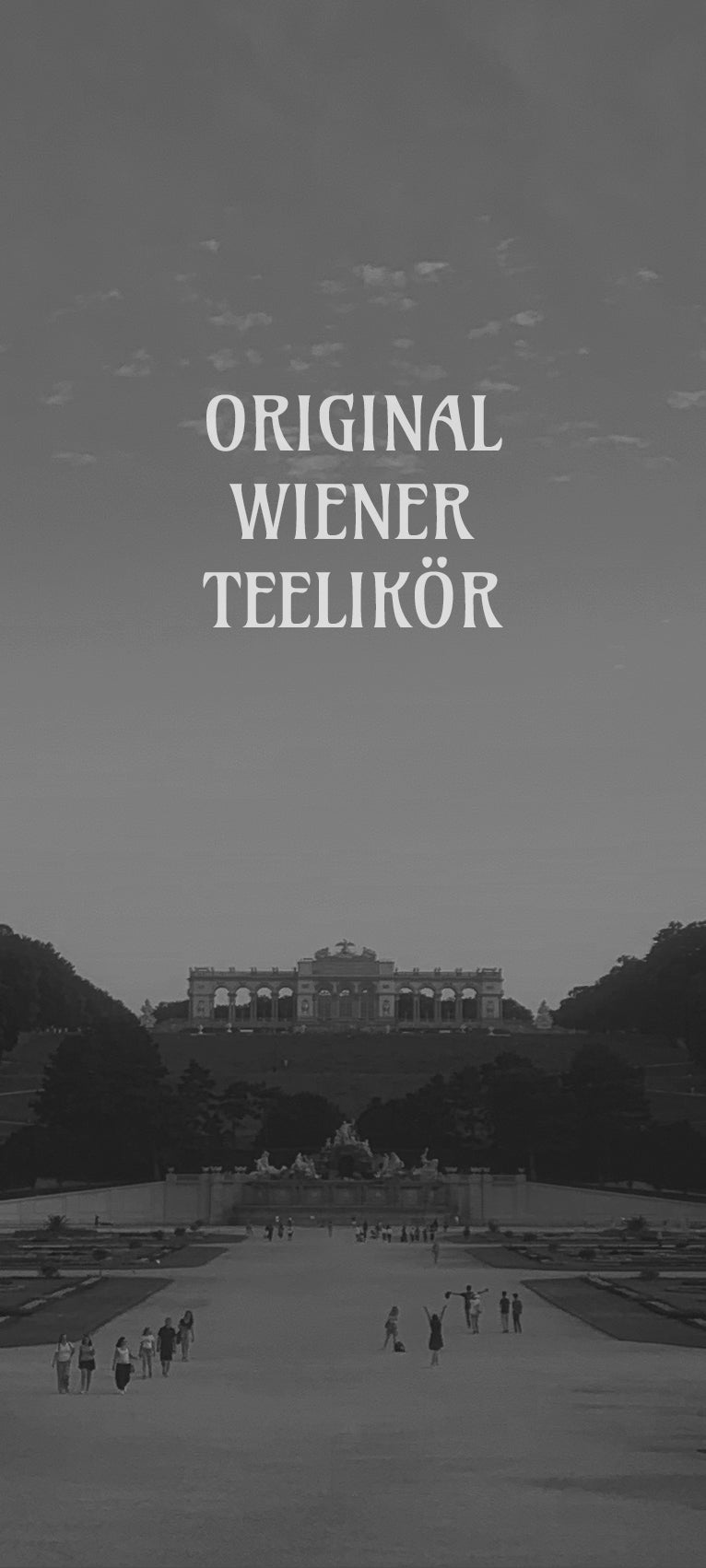 Teapsy_Website_banner_1_M.jpg